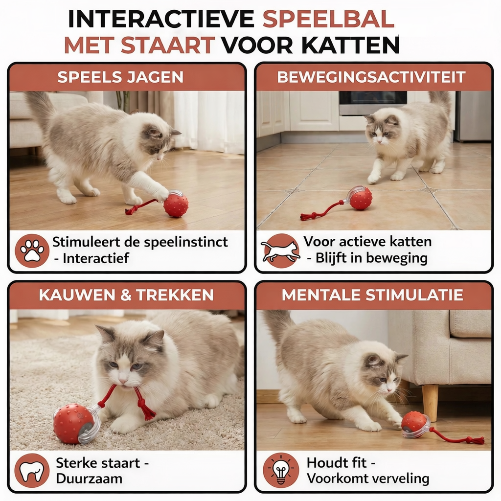 Interactieve Speelbal - Automatisch Bewegend Kattenspeelgoed