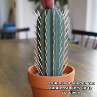 Cactus Tandenstokerhouder Decoratiestuk