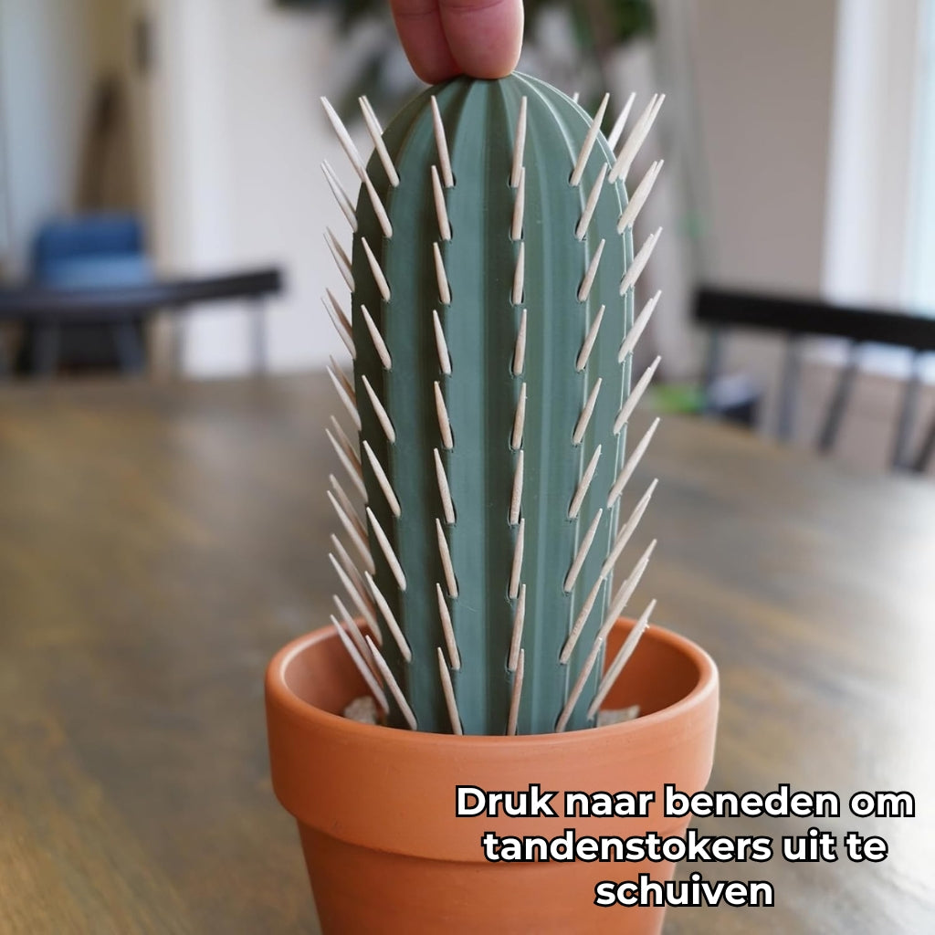 Cactus Tandenstokerhouder Decoratiestuk