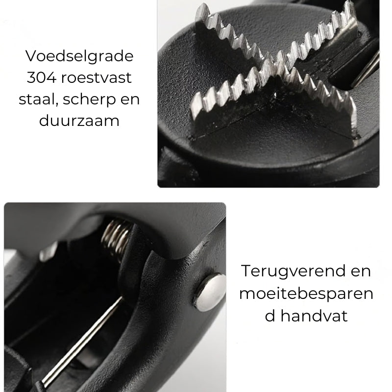 Kastanje Notenkraker