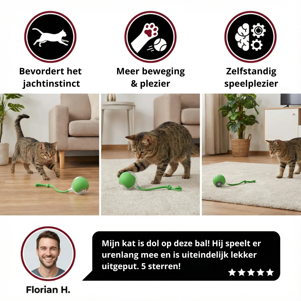 Interactieve Speelbal - Automatisch Bewegend Kattenspeelgoed