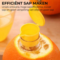 Kleine Inwendige Fruitpers