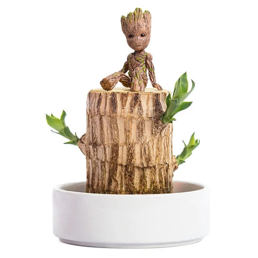Terrarium™ Gelukshout Groeikit