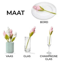 Servet tafeldecor  bloemvouwer