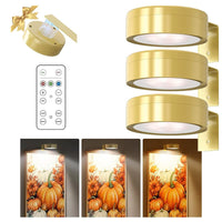 🖼️💡Magnetische schilderijlamp met 13 verlichtingsstanden