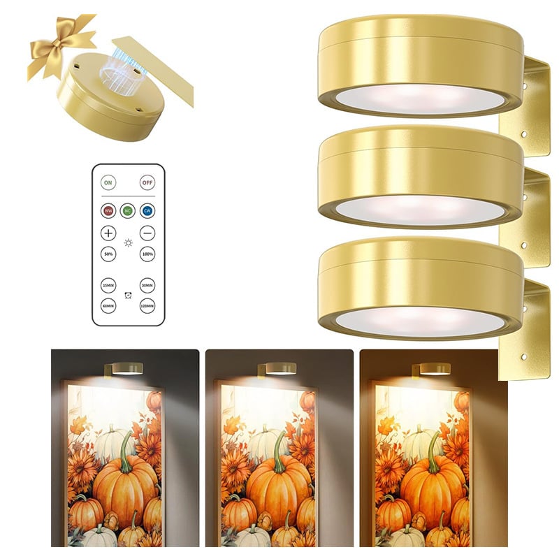 🖼️💡Magnetische schilderijlamp met 13 verlichtingsstanden