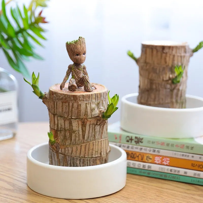 Terrarium™ Gelukshout Groeikit