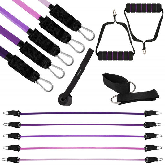 Resistance Band Set | Weerstandselastieken | Weerstandstube Set | Resistance banden | Paars