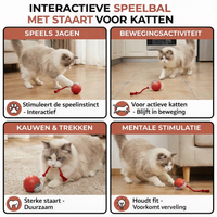 Interactieve Speelbal - Automatisch Bewegend Kattenspeelgoed