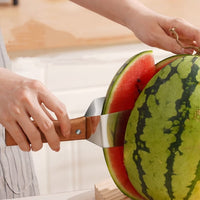 Meloen segmentsnijder