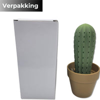 Cactus Tandenstokerhouder Decoratiestuk