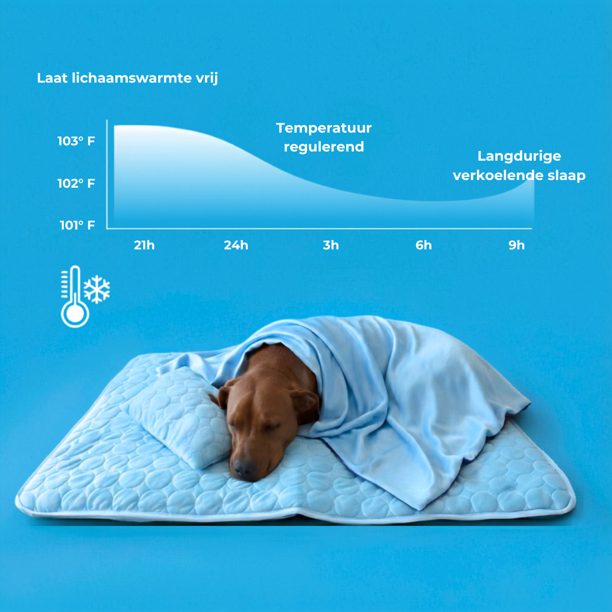 CoolPaws Koelmat | 3-in-1 Bundel