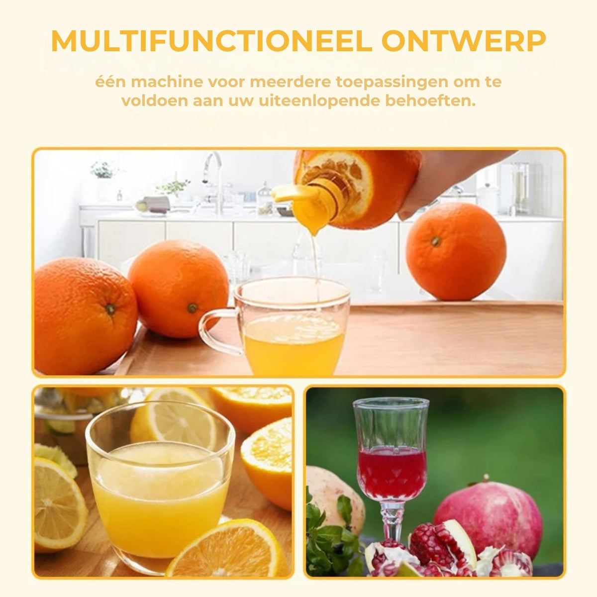 Kleine Inwendige Fruitpers