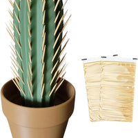 Cactus Tandenstokerhouder Decoratiestuk