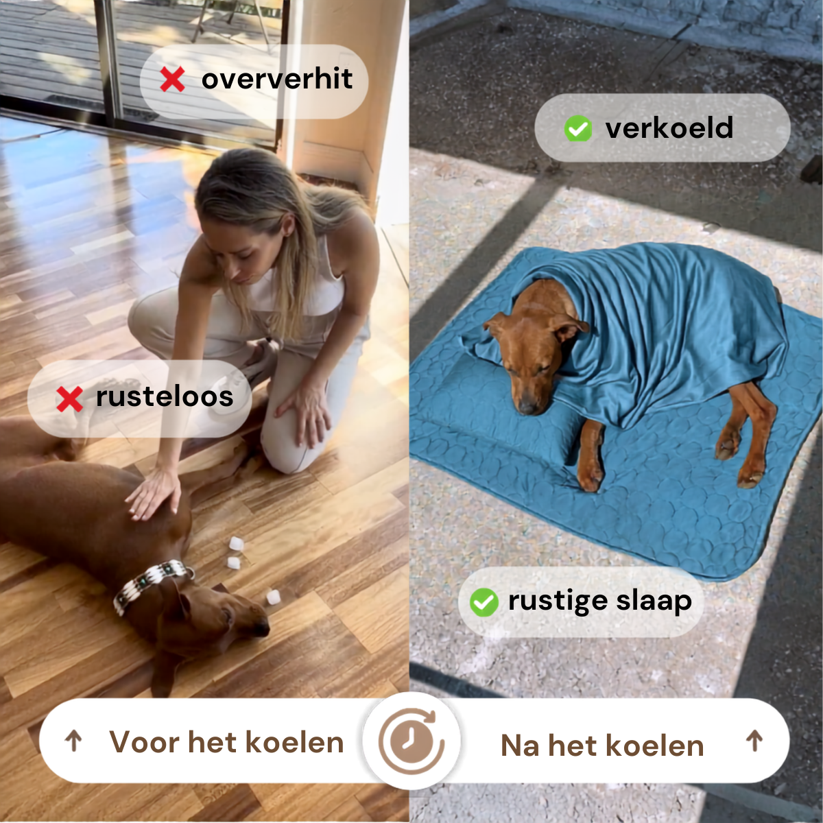 CoolPaws Koelmat | 3-in-1 Bundel