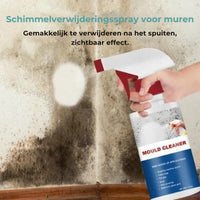 Schimmelverwijderende Schuimspray