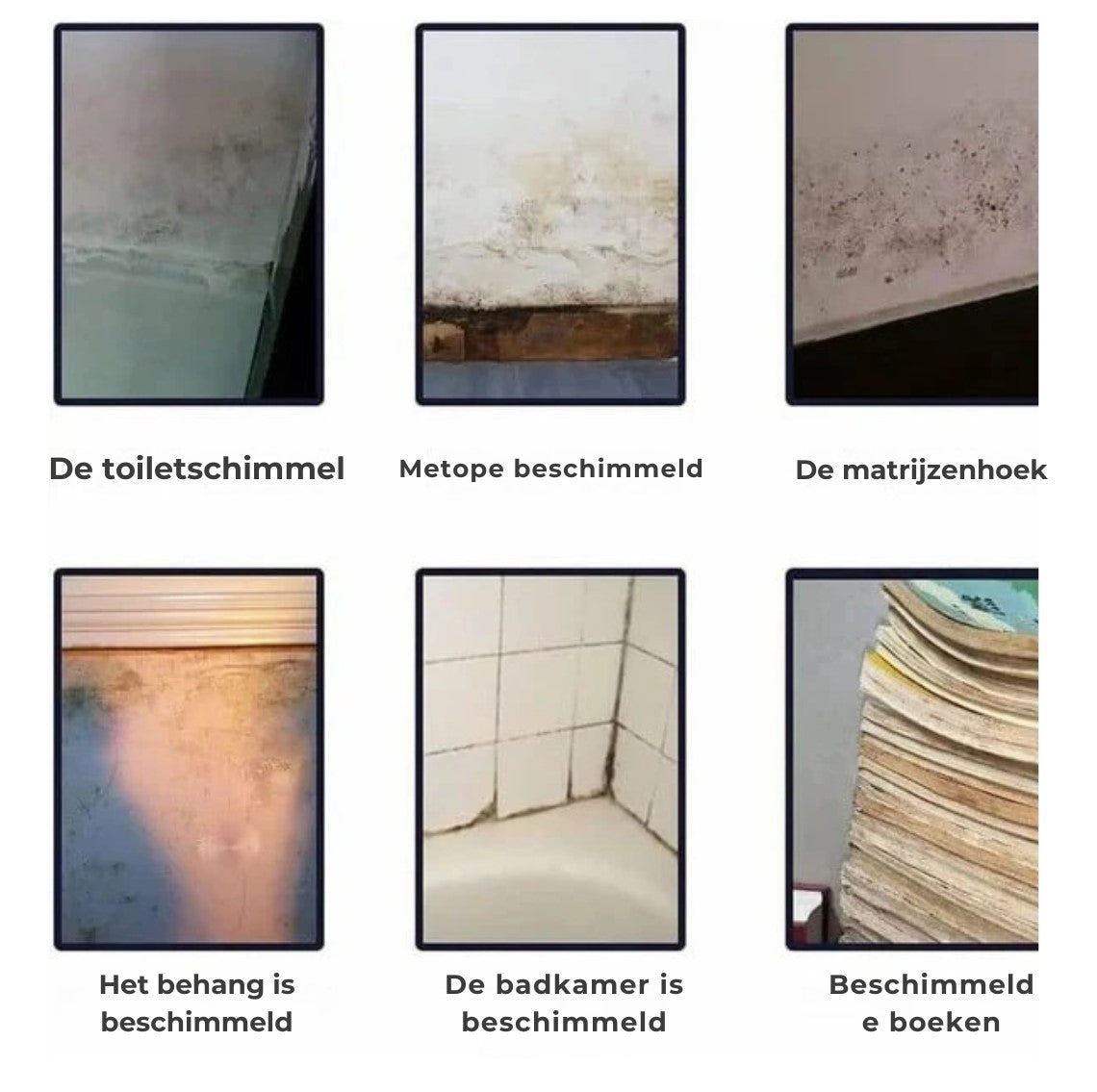 Schimmelverwijderende Schuimspray