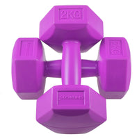 Dumbbell Set - 2 KG - Paars - Oefengewichten